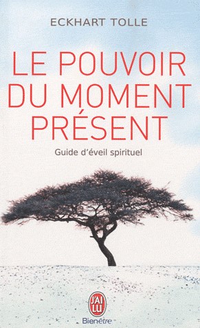 leçons de vie à retenir de Eckhart Tolle