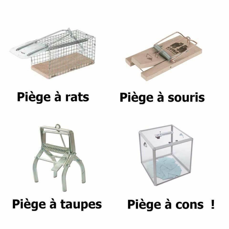 Le vote utile est une arnaque ?!